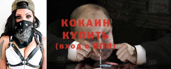трава Слюдянка
