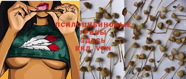 jwh Богородск