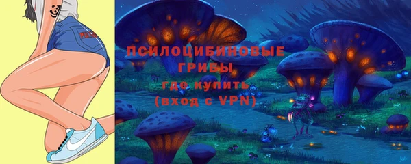 гашик Снежногорск