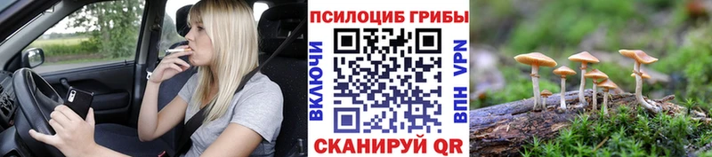 Галлюциногенные грибы GOLDEN TEACHER  Велиж 